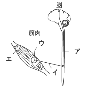 103ŌtƎʖ53}